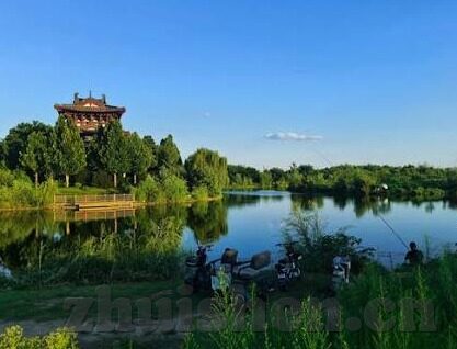 麻豆传媒91视频-麻豆传媒91视频，成人世界的迷失与现实反思