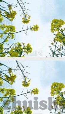 糖心app直播在线观看-
